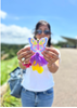 Homelymess Car Accessory Butterfly