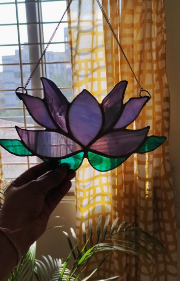 Picture of Pretty Lotus