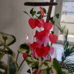 All Hearts Windchime