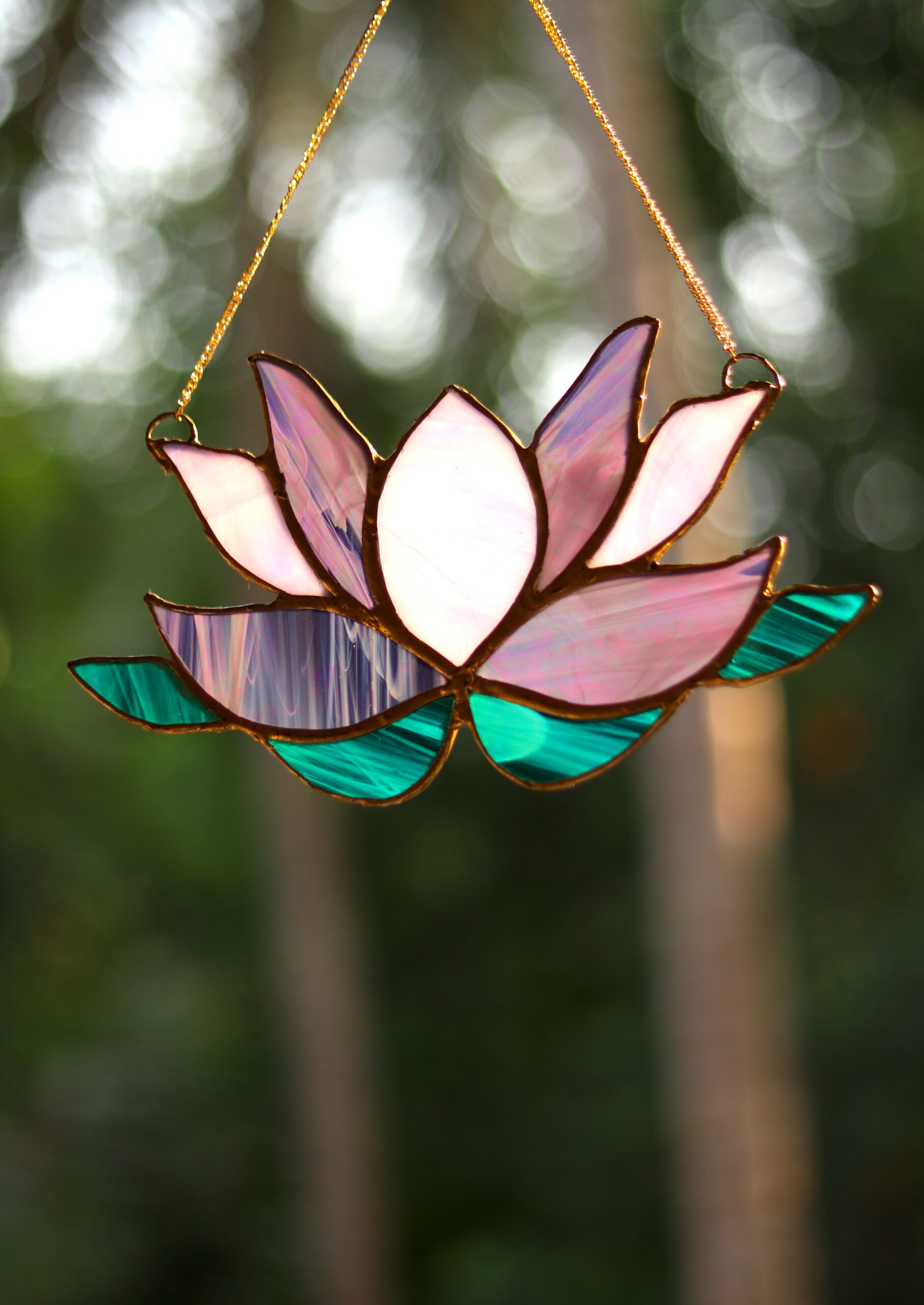 Pretty Lotus