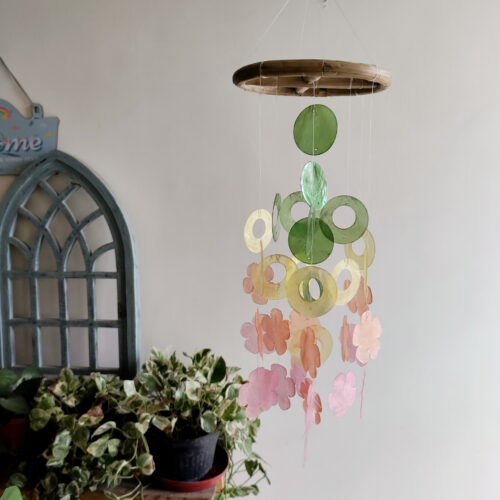 InShot_20240805_112240797