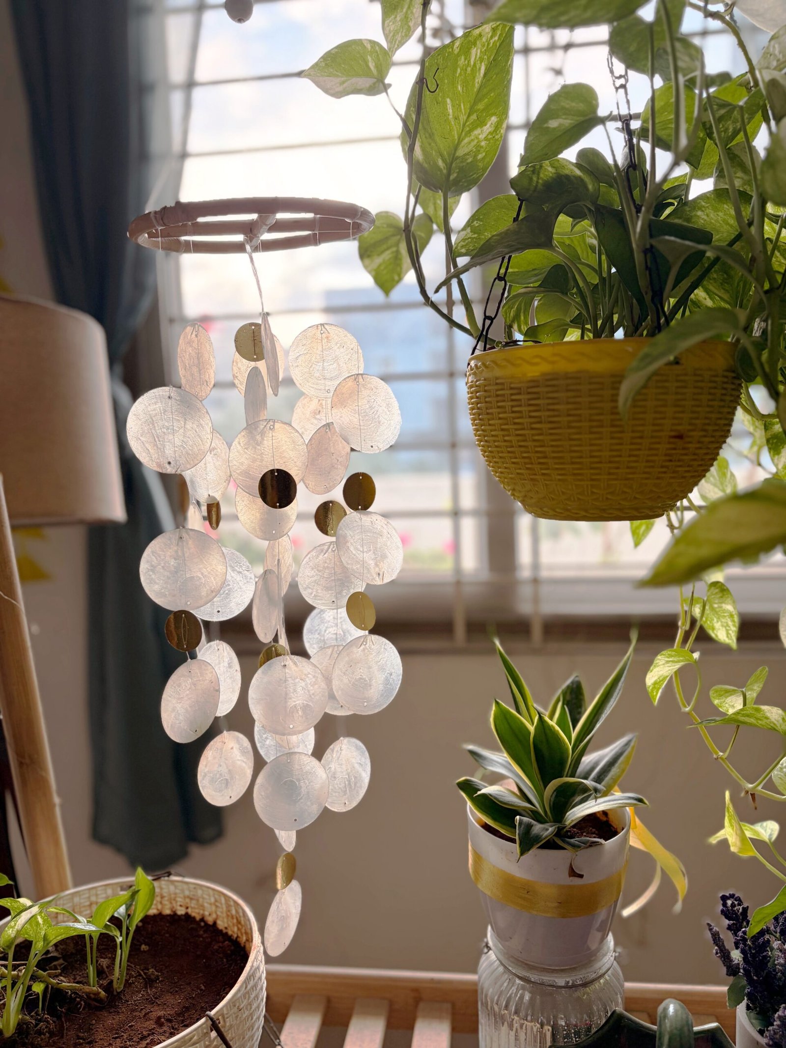 white seashell windchime